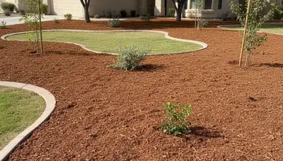 Fresh mulch installation with clean edges and rich color by Chop Chop Landscaping in Chandler, AZ