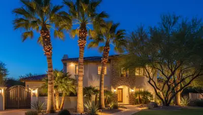 Dramatic tree uplighting showcasing professional landscape lighting design in Chandler, AZ